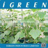 Dutch Pot Vegetable Growing System thumbnail-5