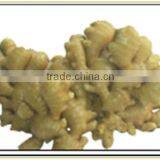 Fresh Vegetable Ginger the Spring Festival Hot Selling thumbnail-1