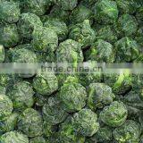 Frozen Spinach Ball Spinach Block thumbnail-2