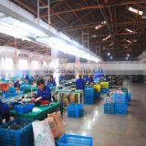 Yongkang City Yongtai Industrial And Trade Co., Ltd. company overview - view 3 thumbnail