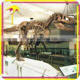 KANO0190Museum Exhibition Artificial Dinosaur Skeleton Sculpture