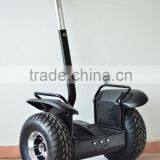 Cheapest Electric Scooter Motor With 19inch Powerful Tires Electric Chariot