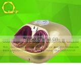 Electric Foot Massage For Moxibustion Infrared Foot Massage Beauty Machine thumbnail-1