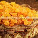 Fresh Golden Raisins thumbnail-1