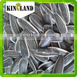 Dried and Raw Sunflower Seeds Sunflower Seeds Turkey Market Price Best Quality thumbnail-3