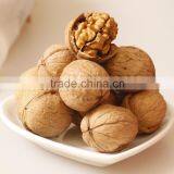 China Walnut/good Quality Walnut Chile/light Yellow Walnut Color thumbnail-1