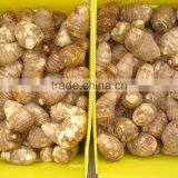 Fresh Taro thumbnail-4