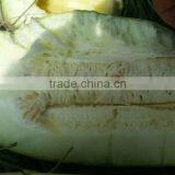 Shelled and Roasted Chinese Green Pumpkin Seed Kernels New Crop thumbnail-3