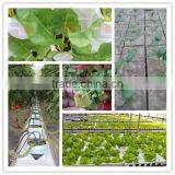 1 Inch 60kg/m3 Rockwool for Hydroponics Grow Plant thumbnail-5