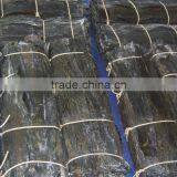 Dried Brown Algae Long Leaf Whole Sheet of Sea Kelp Seaweed for Sale thumbnail-4