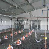 Large-span & Low Price Prefab Steel Structure Chicken House thumbnail-1