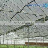Agricultural Plastic Film Greenhouse With Arch Roof thumbnail-1