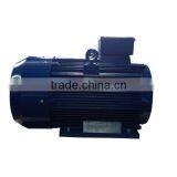 IEC Standard UL Certified Small Three Phase Electric Motor thumbnail-1