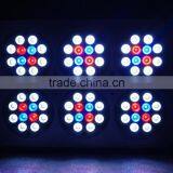Apollo 6 LED GROW LIGHT for Hydroponics thumbnail-1