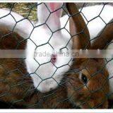 PVC Coated Hexagonal Wire Mesh thumbnail-1