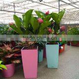 Vertical Garden,square Planter,self Watering Flower Pot