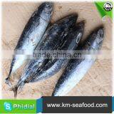 Carton or Woven Bag Packed Fat Content 16%-18% Bonito wr thumbnail-6