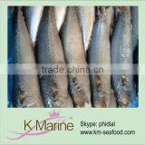 Supply Frozen Mackerel Fish Whole Round Lot Number#kmw4004 thumbnail-1