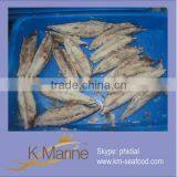 Skinless Light Meat Tuna Loin thumbnail-1