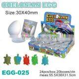 Sell Hatching Egg Toys/ Growing Turtle Egg Toys thumbnail-1