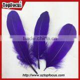 Dyed Colored Purple and Black Goose Feather and Down for Sale thumbnail-1