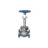 Cryogenic Globe Valve
