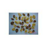 Kellog Corn Flakes Machine Cheap