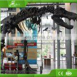 China KAWAH Factory Fiberglass Dinosaur Skeleton for Exhibition thumbnail-2