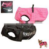 Glow in the Dark Safety Reflective Dog Vest thumbnail-3