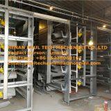 Mexico Chicken Farm H Type Automatic Chicks Cage & Pullet Cage in Brooding Room With Poultry Climate Control