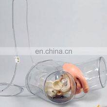 Transparent Male Catheterization Model Nursing Training Manikin thumbnail-2