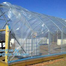 Plastic Film Agriculture Greenhouse,6 Mil Poly Anti-uv Plastic Greenhouse Film,Anti-fog UV Resistant,mushroom,TOMATO PAC thumbnail-3