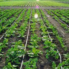 Flat Drip Irrigation Pipe Production Line thumbnail-5