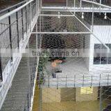Stainless Mesh Webnet Infill Panel for Balustrade, Green Walls | Generalmesh thumbnail-5