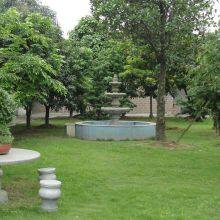 Ingosensor company overview - view 2 thumbnail