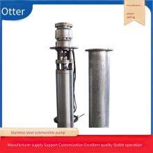 304 Stainless Steel Deep Well Pump_316 Stainless Steel Seawater Pump_seawater Lift Pump Skid thumbnail-4