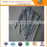factory on hot sale manufacturer common wire iron nail common nail