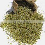 Admixture 1%max, 2010new Crops, Cumin Seed thumbnail-2
