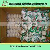 Fresh Jin Xiang Brand Pure White Garlic Powder/fresh Garlic/chinese Garlic Price thumbnail-3