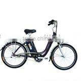 Electric Bike TDH01Z EN15194