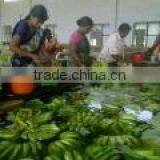 Cavandish Banana thumbnail-5