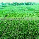 Anqiu Luda International Trade Co., Ltd. company overview - view 3 thumbnail