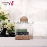 Handmade Clear Glass Planter thumbnail-4