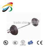 Olympic Plate Tree/ Weight Plate Rack/Storage Rack/Body Building/Fitness Equipment thumbnail-1