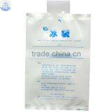 Plastic Wine Bottle Cooler Bags