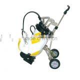 Golf Penholder With Cart and Three Metal Pens