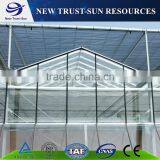 Multi-span Agricultural Glass Greenhouse thumbnail-4