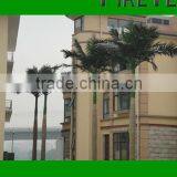 Artificial King Coconut Tree/Artificial King Coco Tree
