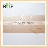 Good Sale 1.5mm-3mm Embossed HPL Board/HPL/Decorative