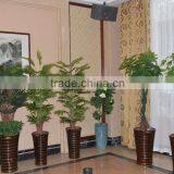 Landscaping Tree Various Types Of Ornamental Plastic Plants